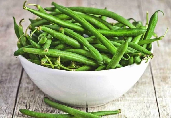 Netherlands Sees 4% Surge in Green Bean Imports, Reaching $124 Million in 2023
